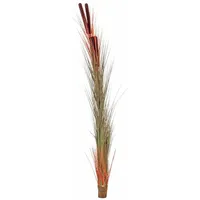 Europalms Schilfgras mit Kolben, hellbraun, 152cm