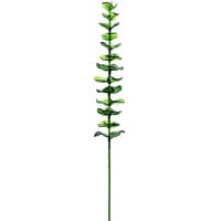 Europalms Kristalleukalyptus, grün, 81cm 12x