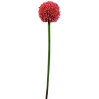 Europalms Alliumzweig, rot, 55cm