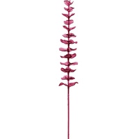 Europalms Kristalleukalyptus, burgund, 81cm 12x