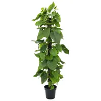 Europalms Pothos, 180cm