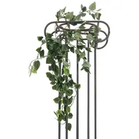 Europalms Philodendronbusch Classic, 60cm