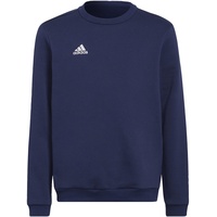 Adidas Entrada 22 Sweatshirt Kinder blau 128