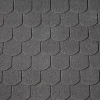 COLIBRI Easy Biber Bitumen-Dachschindeln schwarz
