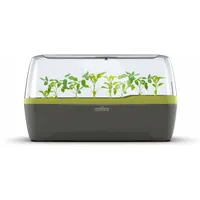 ROMBERG Gewächshaus Boqube L Plus Anthrazit-Grün