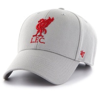 '47 FC Liverpool Grey EPL Most Value P. Cap