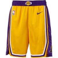 Nike Los Angeles Lakers Icon Edition Nike NBA Swingman
