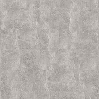 Classen Visiogrande Megaloc Aquaprotect 60,4 x 28 cm sichtestrich