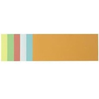SOENNECKEN Moderationskarte 4877 9,5x20,5cm sort. 250 St./Pack.