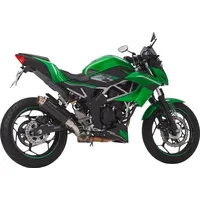 Shark exhaust SRC 4 Aluminium eloxiert schwarz schwarz