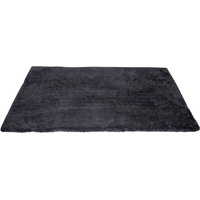 Dyckhoff Siena Grau 70 x 120 cm