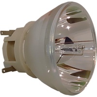 Philips Ersatzlampe UHP 240-170W 0.8 E20.7 Fusion Air (TOP