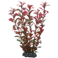 Hobby Ludwigia 25 cm