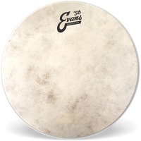 Evans Calftone 13", TT13C7 Tom Batter/Snare Batter