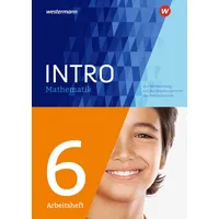 Schroedel INTRO Mathematik SI 6. Arbeitsheft