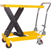 E/D/E Scherenhubtisch 500 kg TF 50