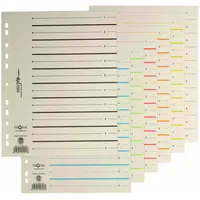 Pagna Trennblätter Easy Rip DIN A4 1-0 chamois/grün, 225