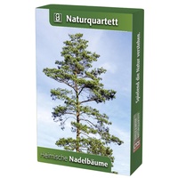 Quelle & Meyer Heimische Nadelbäume