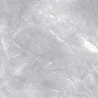 Euro Stone Bodenfliese Feinsteinzeug Grau 60 x 60 cm