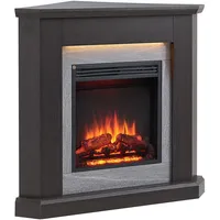 Balderia CrownFlame Elektrokamin Pegasos eiche 2 kW