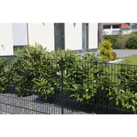 Home Deluxe Doppelstabmattenzaun 1,2 m x 40 m Anthrazit