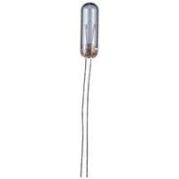 Goobay 9343 T1-1/4 Kleinst-Glimmlampe, 0, 24 W
