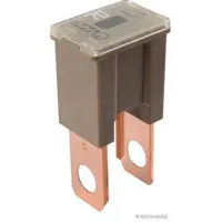 Herth+Buss HERTH&BUSS ELPARTS Sicherung 50295447