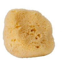 Croll & Denecke Naturschwamm, Meeresschwamm, Natur, ca. 10 cm