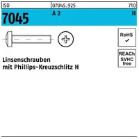 Hörger & Geßler ISO 7045 Form C Linsenkopfschraube VG