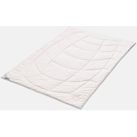Kauffmann Hanf Leicht Steppbett Sommerdecke Monodecke 200x200 cm 600
