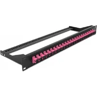 DeLock 43384 Patch-Panel 24 Port SC 1 HE