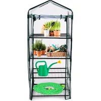 Kinzo Gewächshaus lackiert Grün Transparent 69 x 49 cm