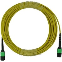 BlueOptics LWL MTP Trunkkabel Singlemode 12 Kerne 30 Meter
