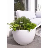 8 seasons DESIGN 8 seasons Shining Curvy Pot XM