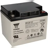 YUASA NPL24-12I 12V 24Ah 10 St.