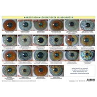 Bacopa Konstitutionsorientierte Irisdiagnose, Tafel