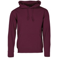 FRUIT OF THE LOOM PREMIUM HOODED SWEAT - Herren