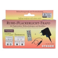 Riffelmacher Ruhe Flacker-Trafo mit Fernbedienung/Timer 5 Ausgänge