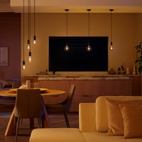 Philips Hue LED-Leuchtmittel E27 Einzelpack White ST72 Filament 550