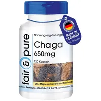 Fair & Pure Chaga 650mg, 120 Kapseln, hochdosiert, Inonotus