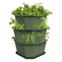 Gusta Garden PAUL POTATO Starter 3 Etagen inkl. Untersetzer