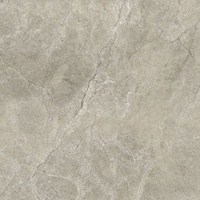 Euro Stone Bodenfliese Feinsteinzeug 60 cm x 60 cm