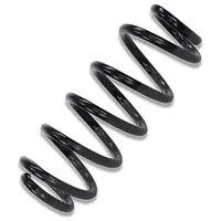 JP Group Fahrwerksfeder