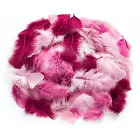 Buttinette Echte Federn rosé-altrosa-bordeaux 20 g