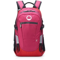 Delsey PARIS Nomade Backpack S Paonie