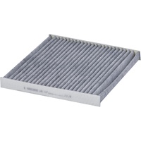 Mahle Filter, Innenraumluft