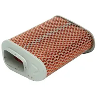 Hiflofiltro Luftfilter HFA1903