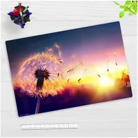 Cover-your-desk Schreibtischunterlage für Kinder und Erwachsene Pusteblume im Sonnenlicht
