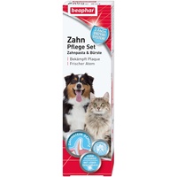 Beaphar Zahnpasta & Zahnbürste