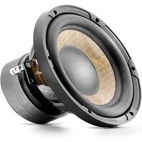 Focal P20FE
